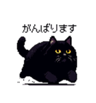 太っちょ黒猫 ドット絵 日常会話 40種（個別スタンプ：36）