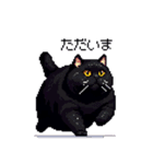 太っちょ黒猫 ドット絵 日常会話 40種（個別スタンプ：39）