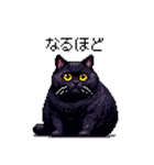 太っちょ黒猫 ドット絵 日常会話 40種（個別スタンプ：40）