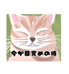 猫も日常（個別スタンプ：2）