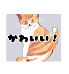 猫も日常（個別スタンプ：7）