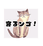 猫も日常（個別スタンプ：11）