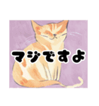 猫も日常（個別スタンプ：16）