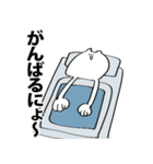 ねこさまぁ2（個別スタンプ：13）