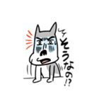 犬の太郎さん（個別スタンプ：16）