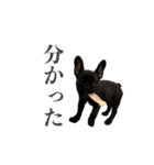 ムウロンスタンプ（個別スタンプ：2）