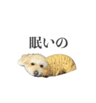 ムウロンスタンプ（個別スタンプ：3）
