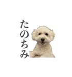 ムウロンスタンプ（個別スタンプ：4）