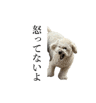 ムウロンスタンプ（個別スタンプ：7）