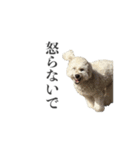 ムウロンスタンプ（個別スタンプ：8）