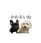ムウロンスタンプ（個別スタンプ：12）