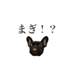 ムウロンスタンプ（個別スタンプ：13）