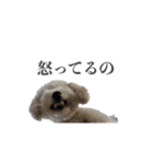 ムウロンスタンプ（個別スタンプ：20）