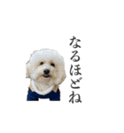ムウロンスタンプ（個別スタンプ：24）
