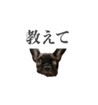 ムウロンスタンプ（個別スタンプ：26）