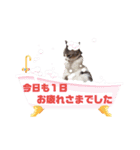 猫ぐりにゃん（個別スタンプ：8）