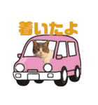 猫ぐりにゃん（個別スタンプ：17）