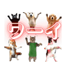 ⚫犬ミーム【毎日使える32匹セット】（個別スタンプ：21）