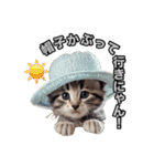 可愛い子猫のスタンプだよ！①（個別スタンプ：31）