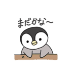 毎日使いやすいペンギンスタンプ（個別スタンプ：33）