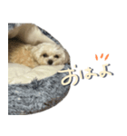 今日のつむ（個別スタンプ：4）
