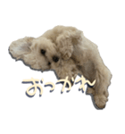 今日のつむ（個別スタンプ：5）
