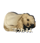 今日のつむ（個別スタンプ：7）