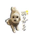 今日のつむ（個別スタンプ：8）