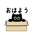 まる目クロネコ1(よく使う言葉)（個別スタンプ：14）