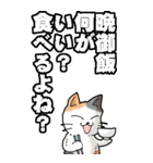 猫大好き！（大）その48（文字多め）（個別スタンプ：21）