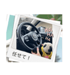 生意気ならんらんPart2（個別スタンプ：4）