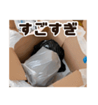 ゴミ袋第一弾（個別スタンプ：22）