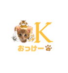 子猫の日常スタンプ♡（個別スタンプ：1）