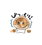 子猫の日常スタンプ♡（個別スタンプ：16）