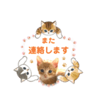 子猫の日常スタンプ♡（個別スタンプ：21）