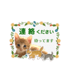 子猫の日常スタンプ♡（個別スタンプ：22）