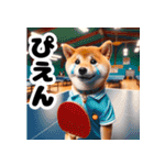 卓球好きな柴犬（個別スタンプ：10）