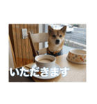 春助のスタンプ②（個別スタンプ：6）