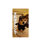 春助のスタンプ②（個別スタンプ：18）
