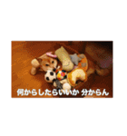 春助のスタンプ②（個別スタンプ：19）