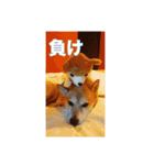 春助のスタンプ②（個別スタンプ：22）