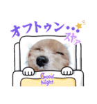 マルプーのメンマくん♪（個別スタンプ：2）