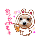 マルプーのメンマくん♪（個別スタンプ：3）