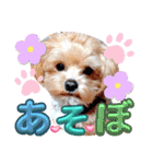 マルプーのメンマくん♪（個別スタンプ：5）