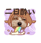 マルプーのメンマくん♪（個別スタンプ：12）