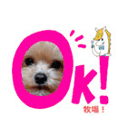 マルプーのメンマくん♪（個別スタンプ：20）
