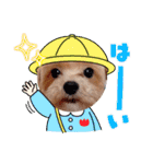 マルプーのメンマくん♪（個別スタンプ：27）