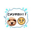 マルプーのメンマくん♪（個別スタンプ：29）