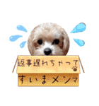 マルプーのメンマくん♪（個別スタンプ：30）