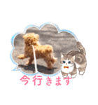 マルプーのメンマくん♪（個別スタンプ：35）